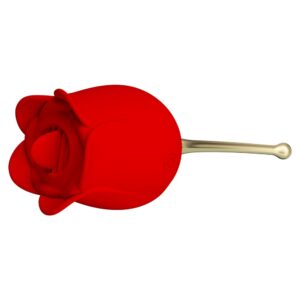 rose lover 1