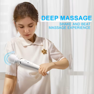 Snimak ekrana 2025-12-05 162542